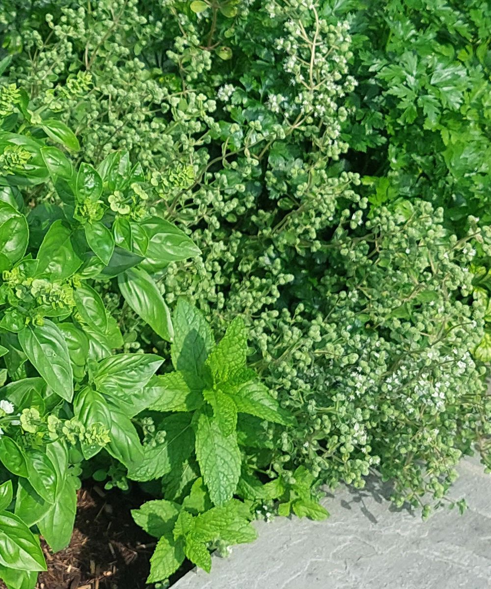 Gesunde, natürliche Zutaten